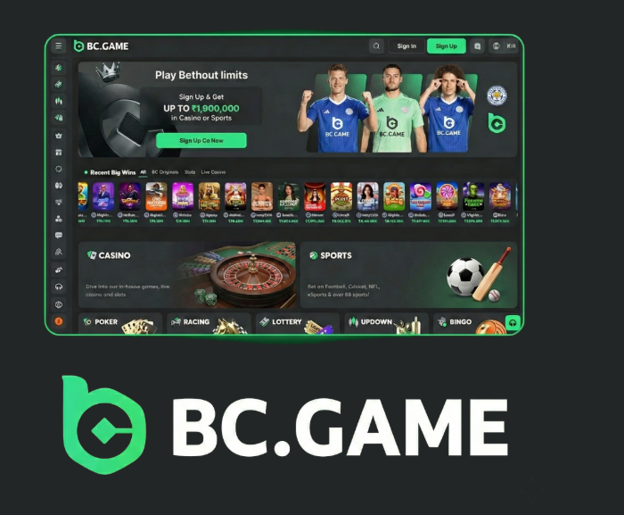 Unlock the Best BC.Game Bonuses and Promo Codes to Maximize Your Winnings!